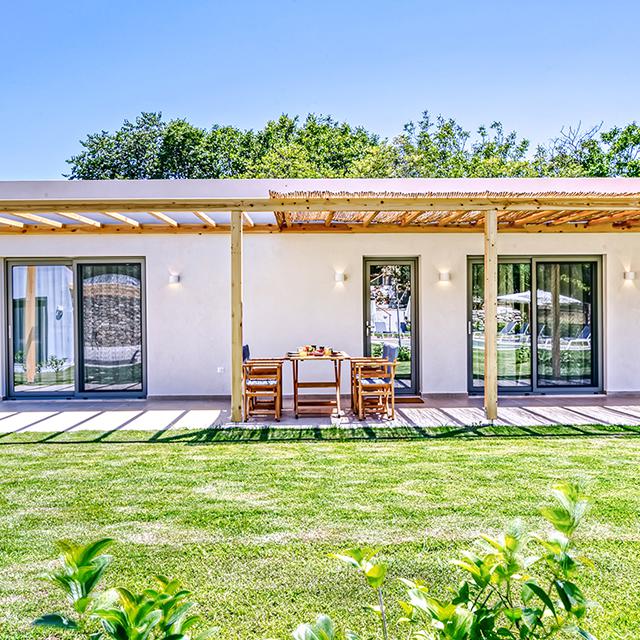 Kumquart - Afbeelding 2