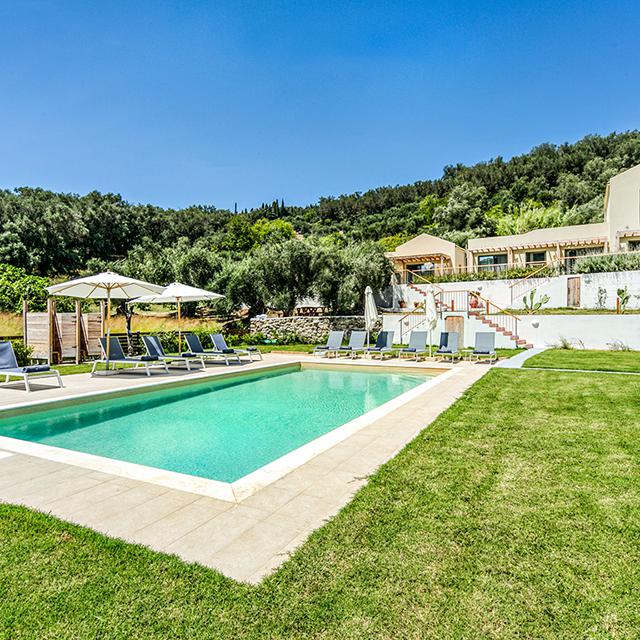 Kumquart - Afbeelding 4