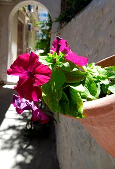 Lefkada Princess Boutique - Afbeelding 5