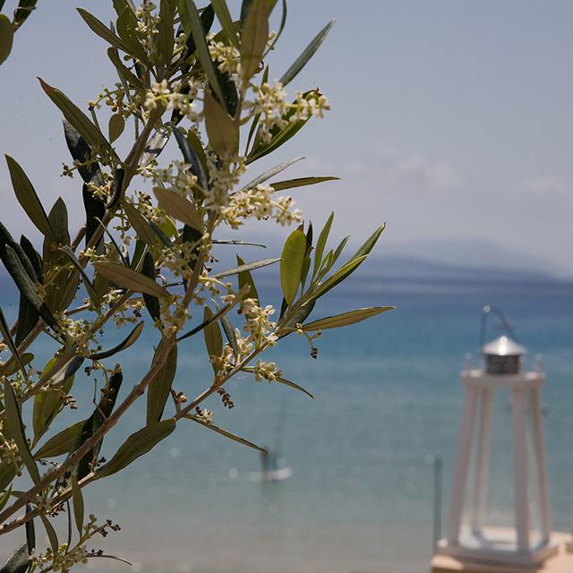 Aparthotel Grand Nefeli - Afbeelding 2