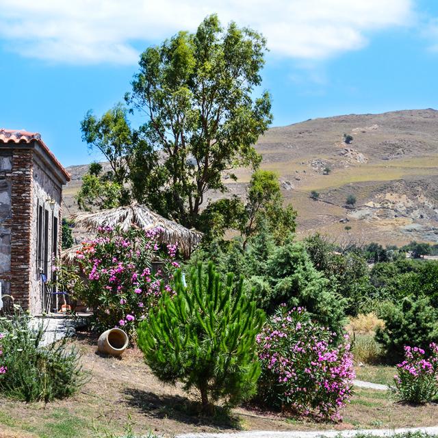 Appartementen Villa's Elpiniki - Afbeelding 5