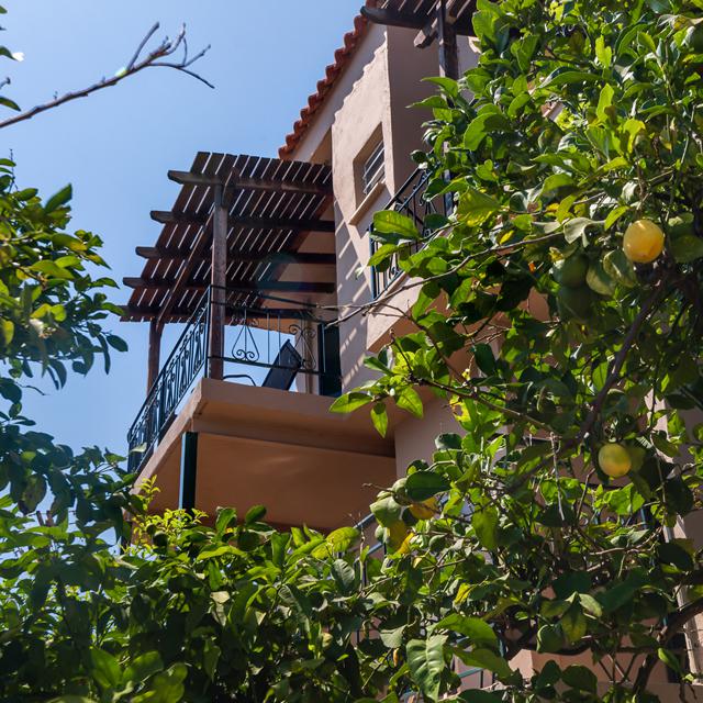 Hilltop Resort - Afbeelding 2