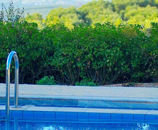 Hotel Elia - Afbeelding 4