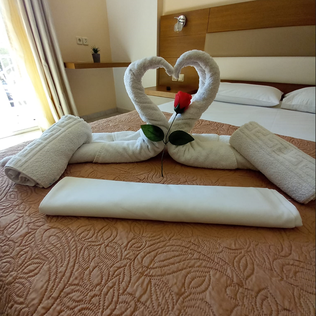 Studio's Virginia - Afbeelding 3