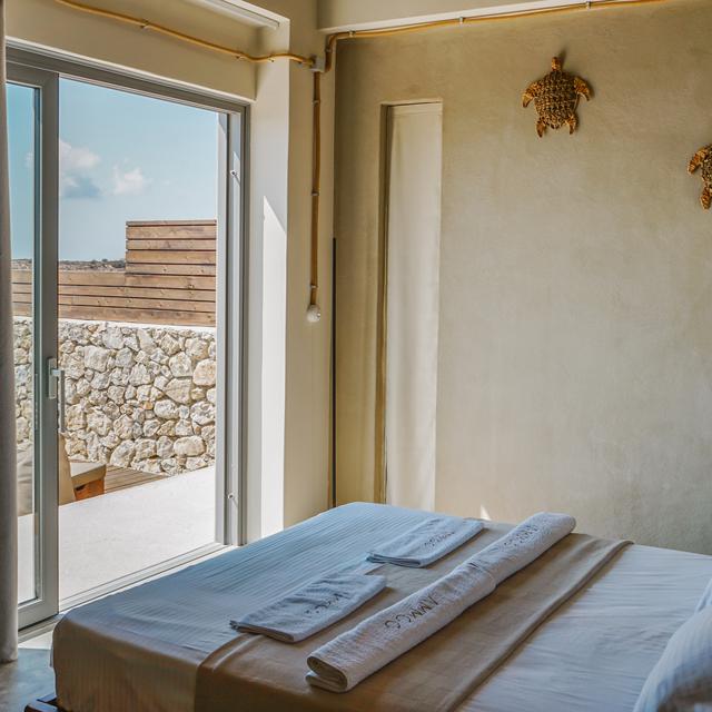 AMMOO - Afbeelding 5