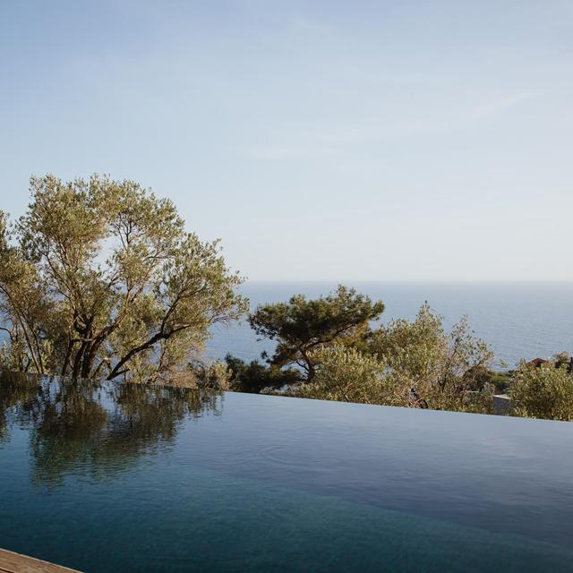 Five Olive Dream Trip - Afbeelding 2