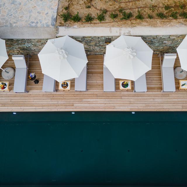 Five Olive Dream Trip - Afbeelding 5