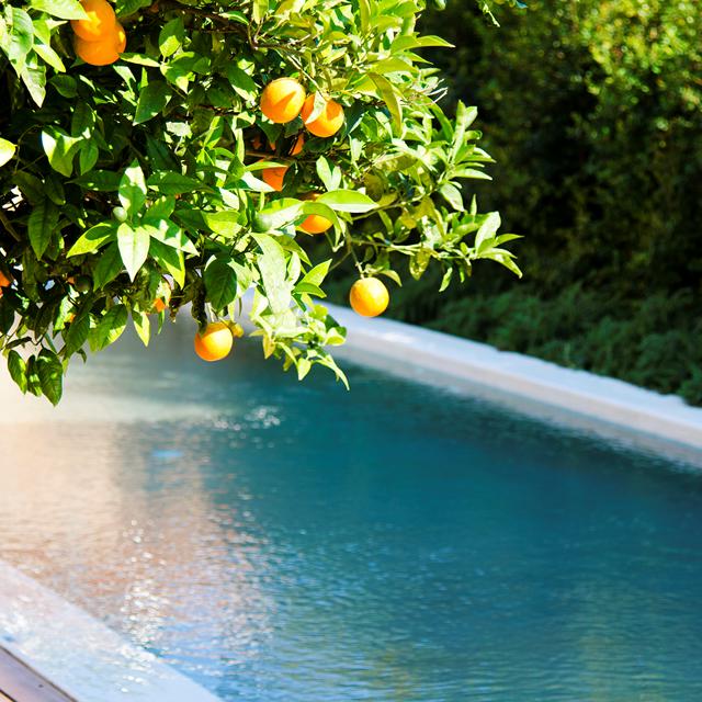 Villa Conte Marino - Afbeelding 4