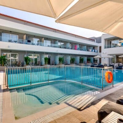 White Olive Premium Laganas