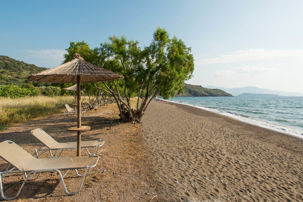 Fly & Go Delfinia - Afbeelding 2