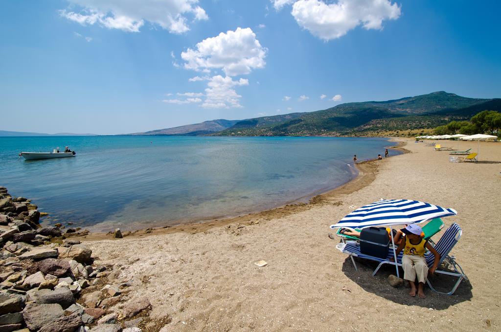 Imerti - Afbeelding 4