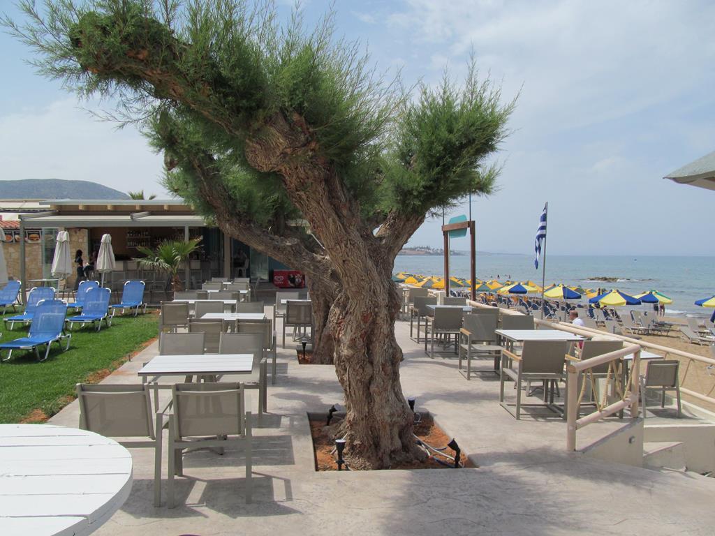 Malliotakis Beach - Afbeelding 4