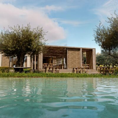 Prosilio Olive Tree Houses