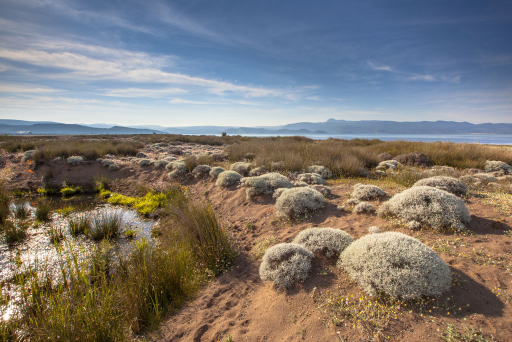 Bingo Lesbos 3* Only Bed - Afbeelding 5