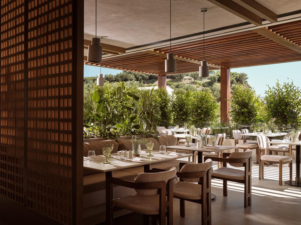 Contessina - Afbeelding 4