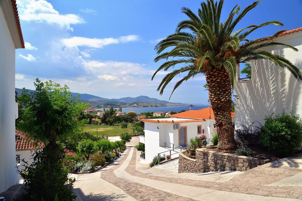 Panorama - Afbeelding 5