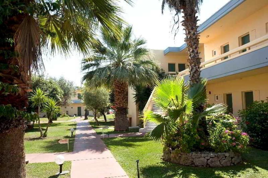 Golden Odyssey - Afbeelding 4