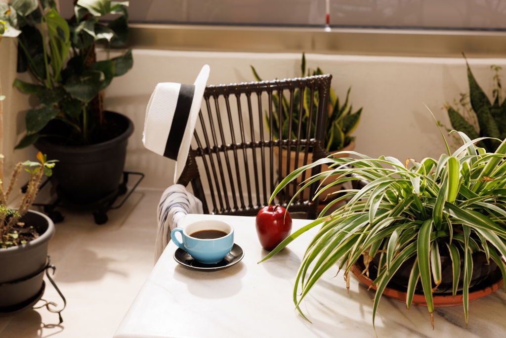 Jolly Suites - Afbeelding 3