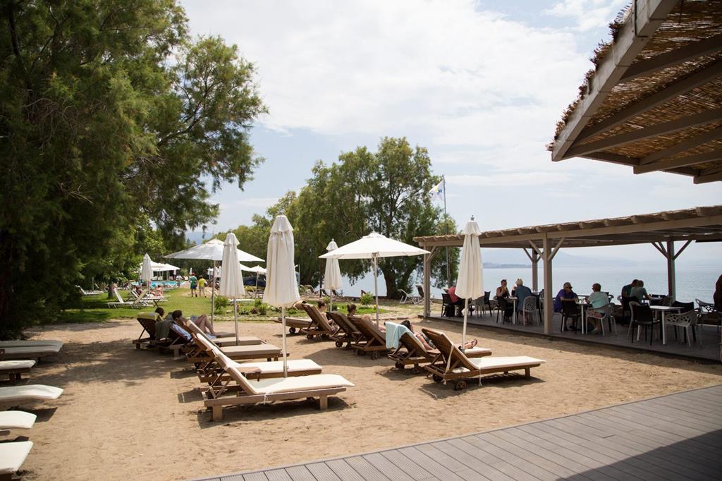 Olive Press - Afbeelding 4