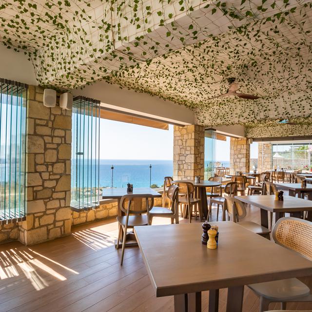 Sophid Wellness Suites